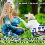 ee4840ad37d74fff55b6acd5f93aad59c1459c8d-1