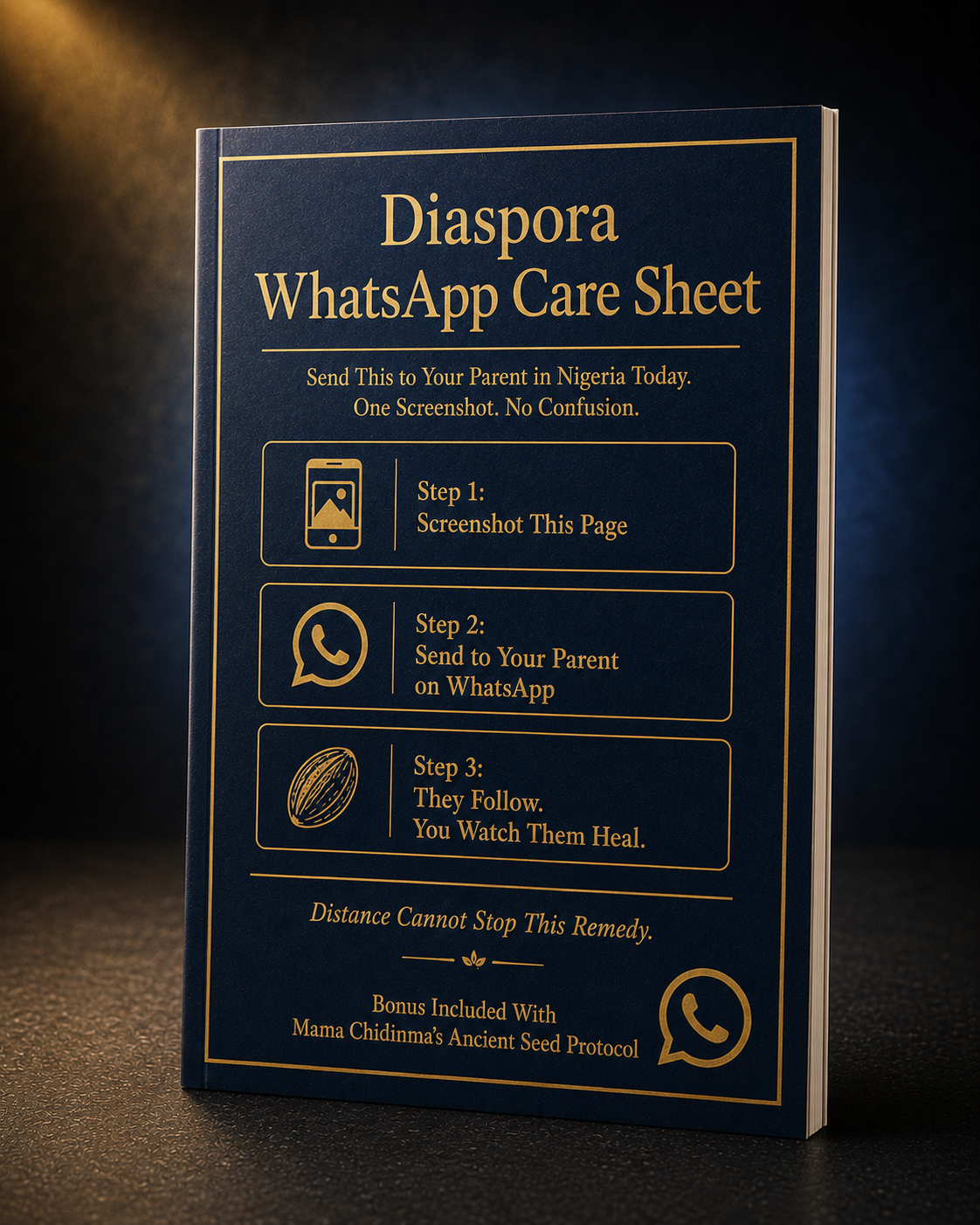 Diaspora WhatsApp Care Sheet